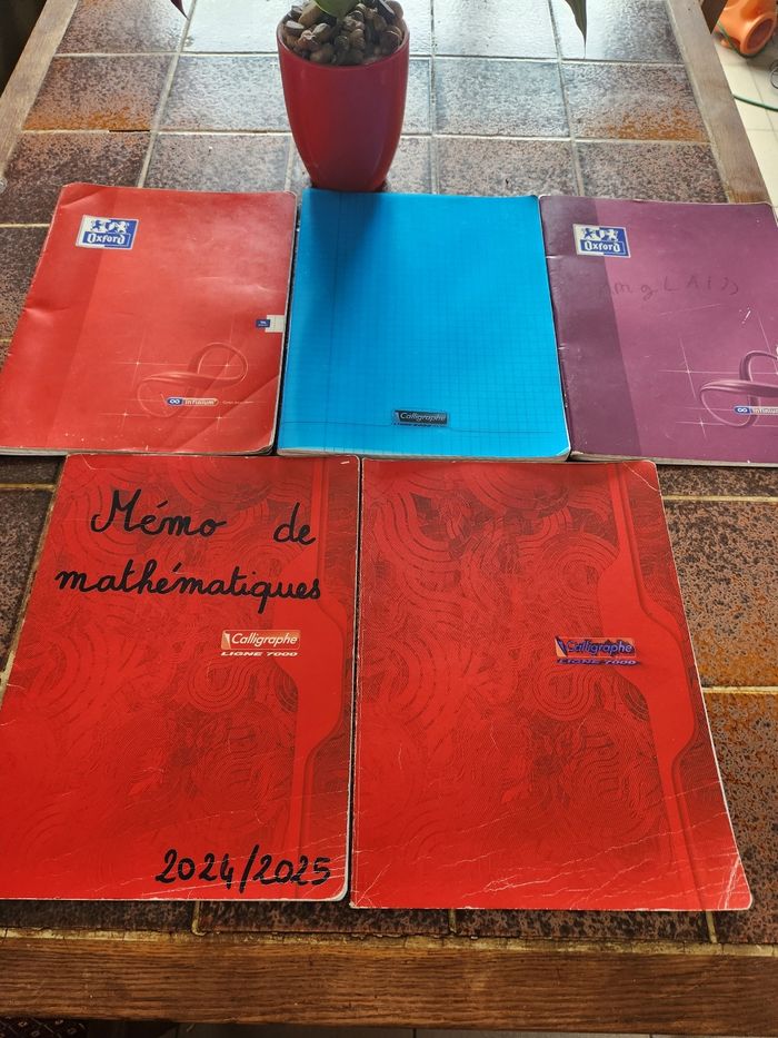 Lot 5 cahiers 24x32