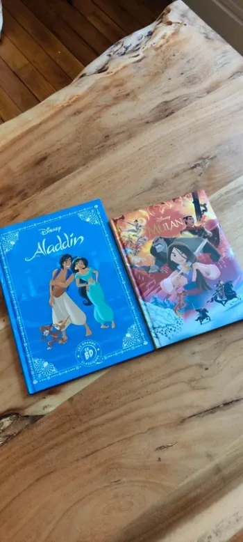 Livre Disney - Aladdin - Mulan