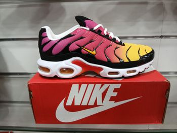 Nike air max tn taille 41