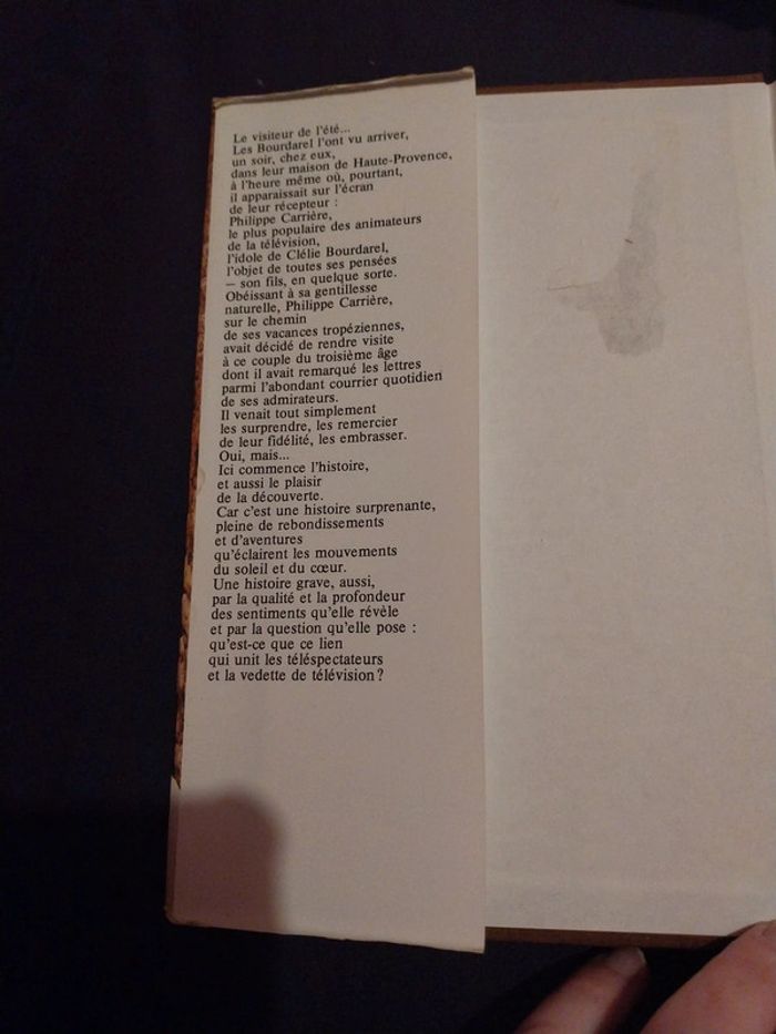 Livre le visiteur de l été - photo numéro 3