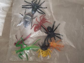 Lot insectes jouets