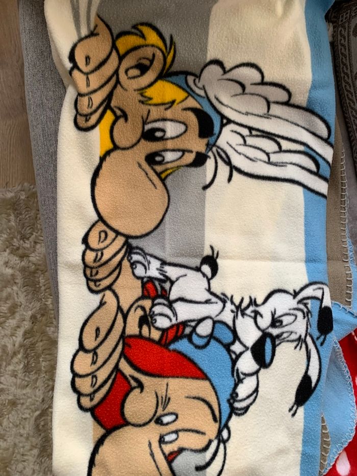 Lot de deux petits plaids - photo numéro 3