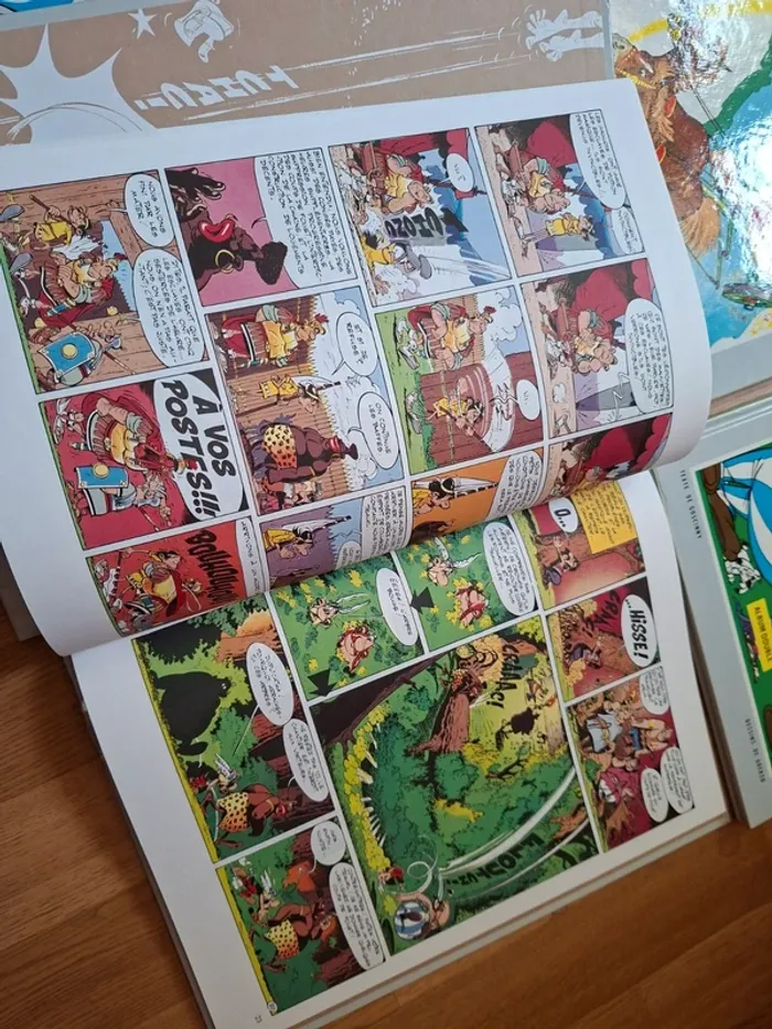 Livre Asterix  double albums - photo numéro 2