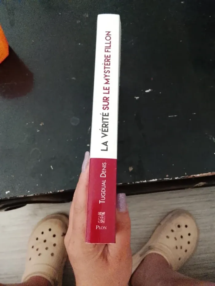 Livre de tugdual Denis - photo numéro 3