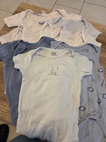 Lot de 7 bodies manches courtes 