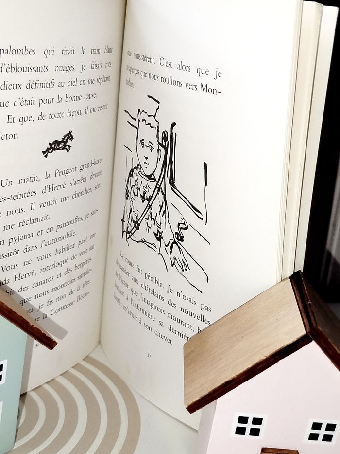 📚 École des loisirs  Les vélos rouillés - photo numéro 2