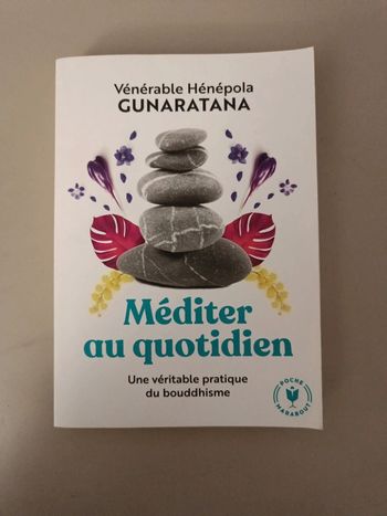 Méditer au quotidien une véritable pratique du bouddhisme vénérable hénépola gunaratana