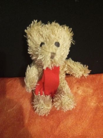 Ours ourson nounours écharpe rouge