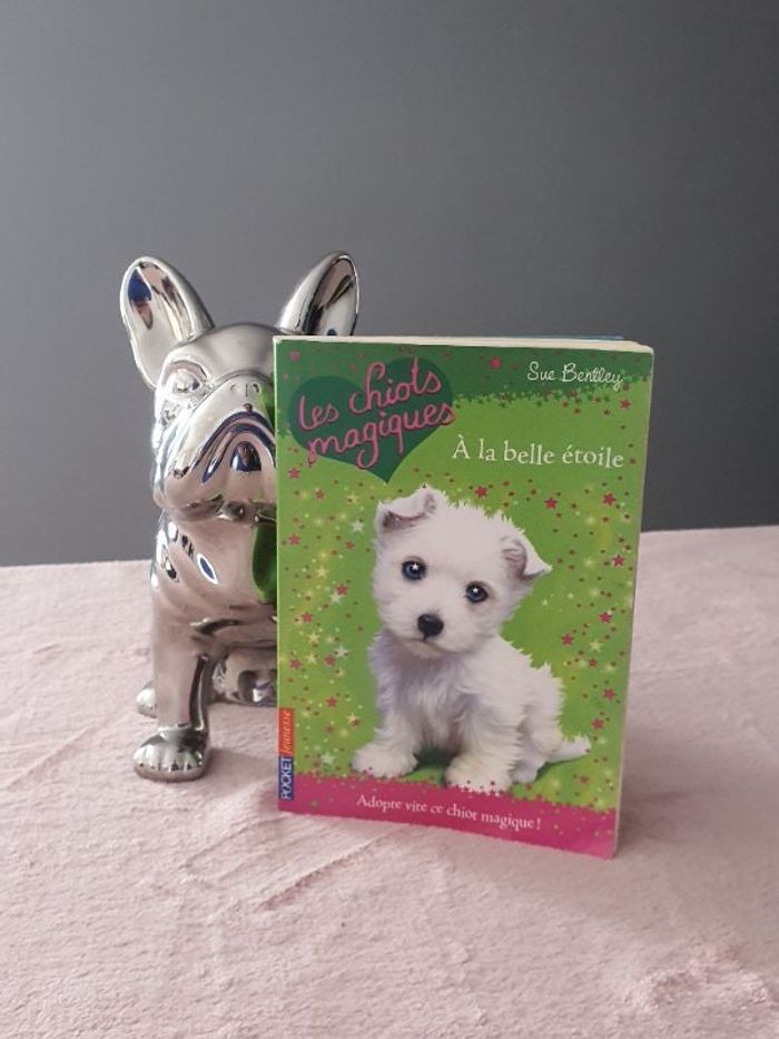 Collection les chiots magiques - à la belle étoile  livre enfant