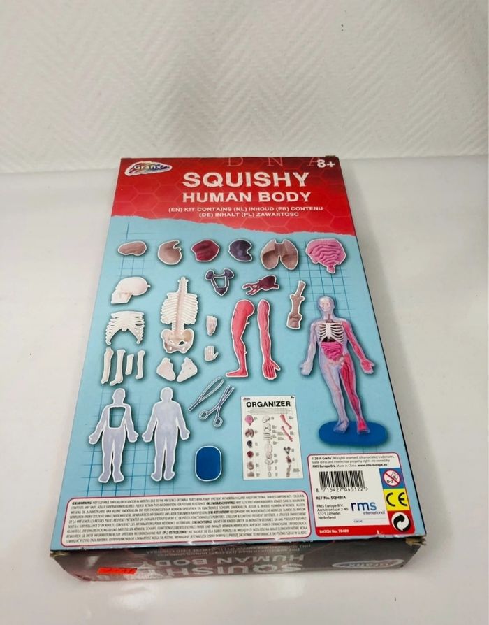 Squishy Human Body - Squelette humain - photo numéro 5