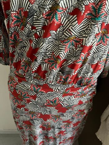 Robe Caroll en 38 