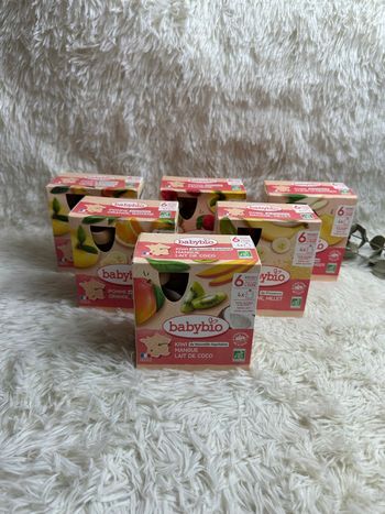 Lot de 6 boîtes de compotes Babybio