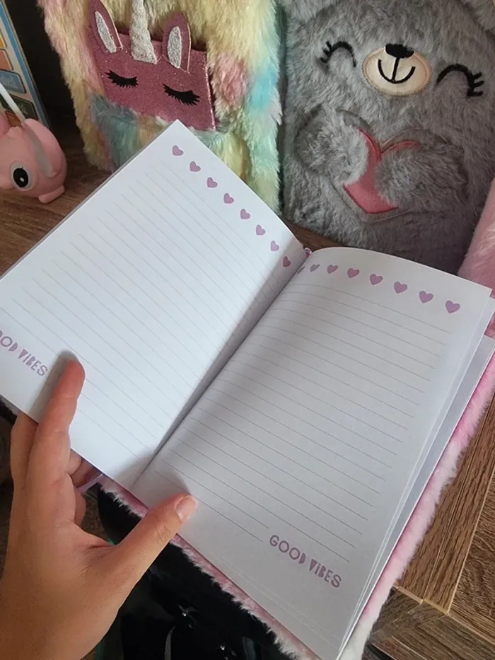 Carnet écriture - photo numéro 2