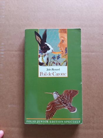 Livre de Jules Renard poil de carotte 🥕