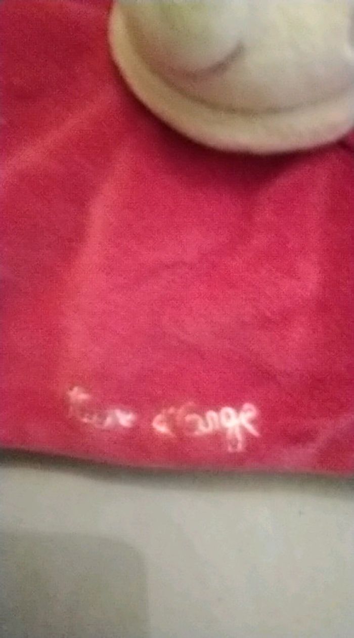 Doudou - photo numéro 2