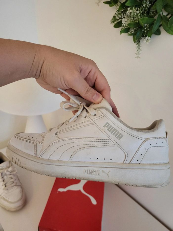 Baskets puma - photo numéro 9