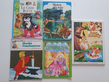 Lot de Contes pour enfants 