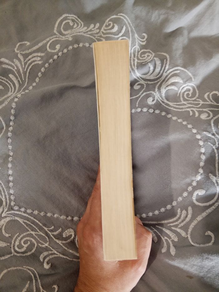 Livre (42) 📚 Trente ans déjà - photo numéro 4