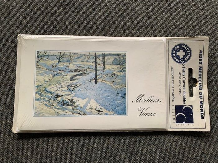 Lot de 5 mignonettes bonne année avec enveloppes
