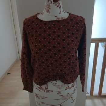 T-shirt a point • 14 ans • Creeks 