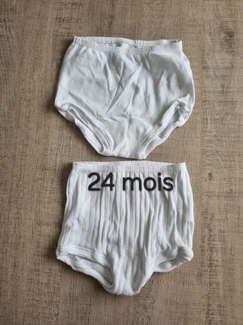 Lot de 2 culottes de couche