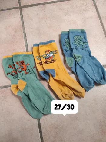 Chaussettes animaux skateurs