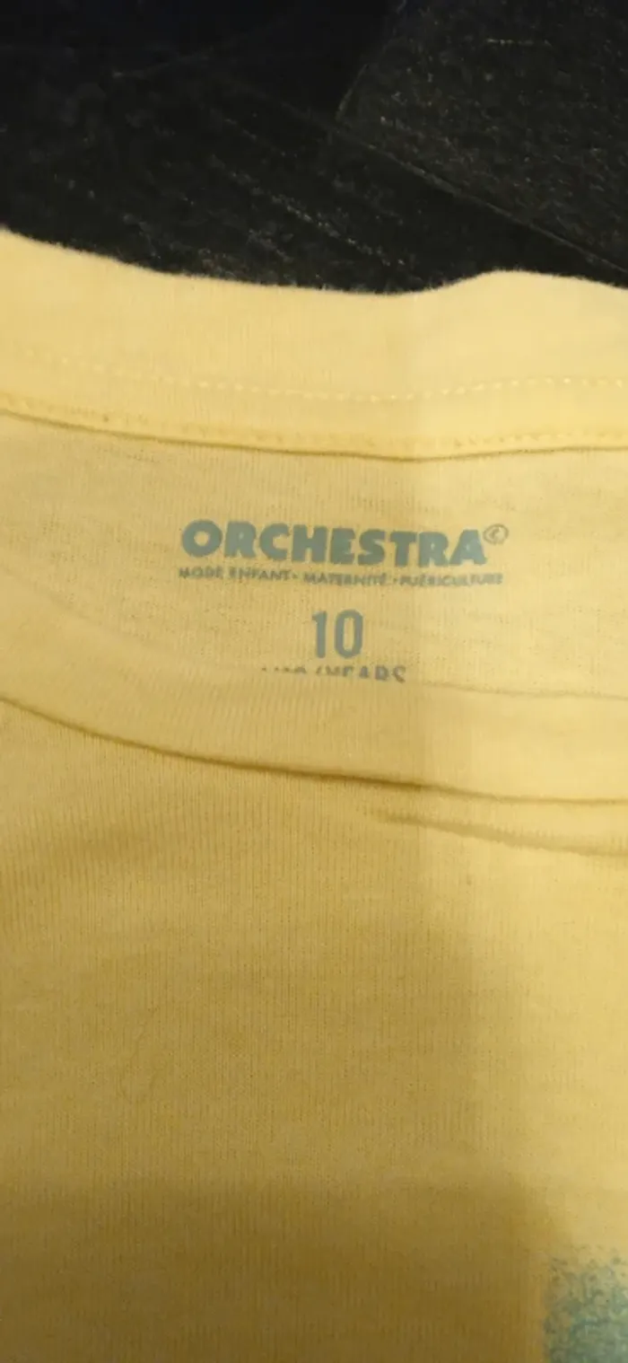 orchestra - photo numéro 3