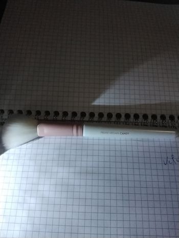 Pinceau  213 blush brush