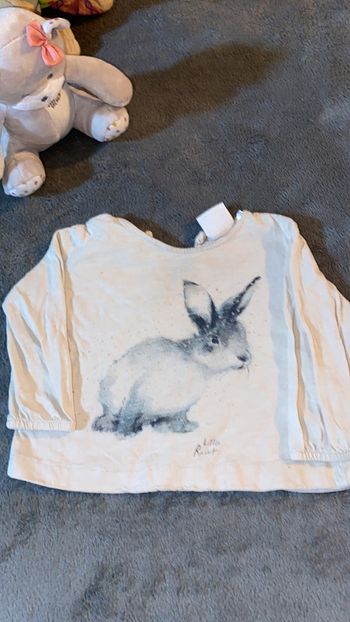 Tee shirt little rabbit