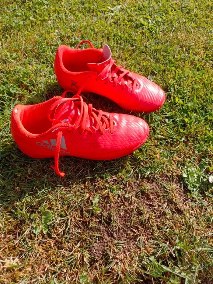 Chaussure foot salle adidas
