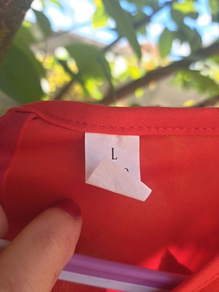 Déguisement moi moche et méchant - photo numéro 2