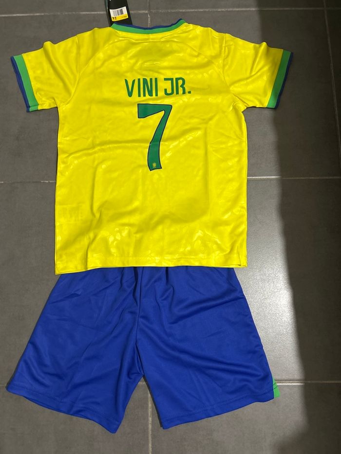 Ensemble ensemble Brésil