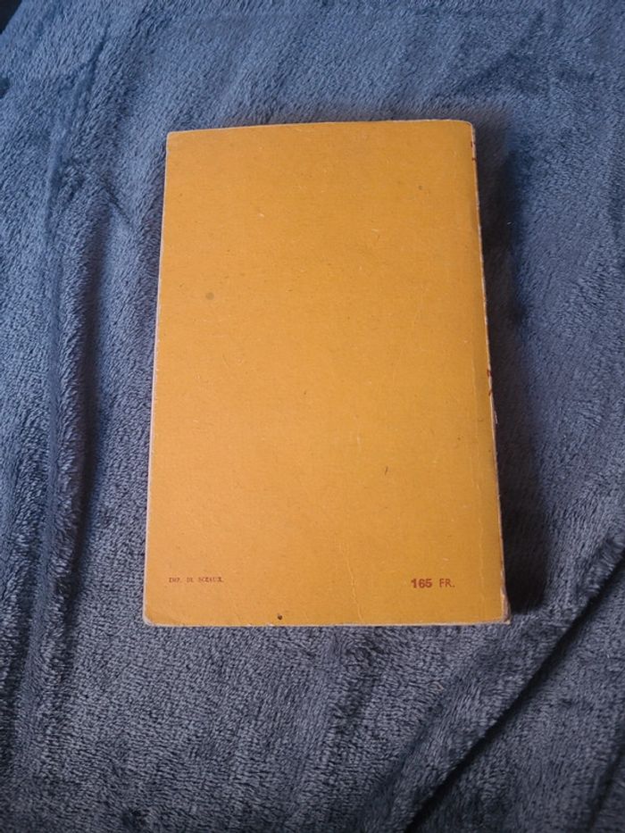 La cape de vision - photo numéro 2