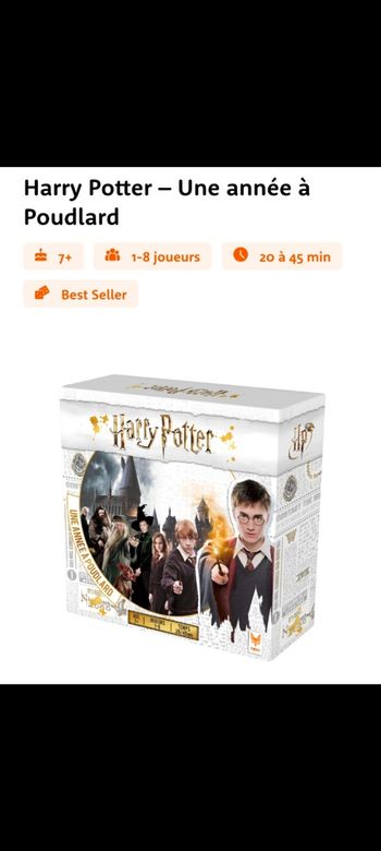 Jeu Harry Potter - Une année à Poudlard