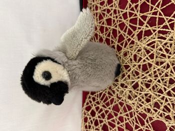 Peluche pingouin gris noir africa