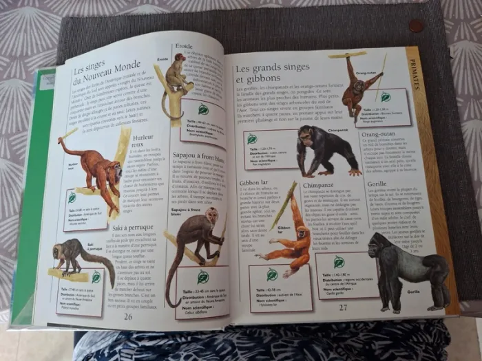 Livre Larousse junior des animaux - photo numéro 6