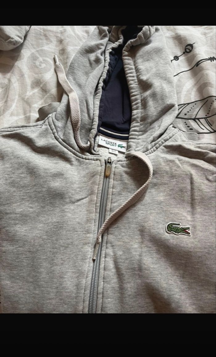 veste lacoste - photo numéro 6