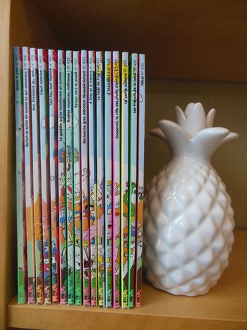 lot 16 magazines mordelire 2023-2024