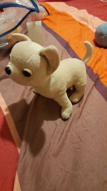Peluche