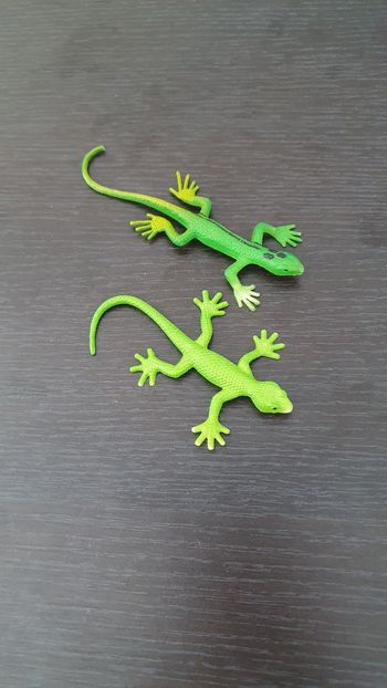 2 figurines lézard