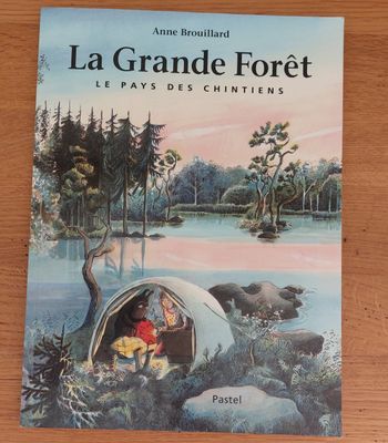 La grande forêt le pays des chintiens - l'école des loisirs