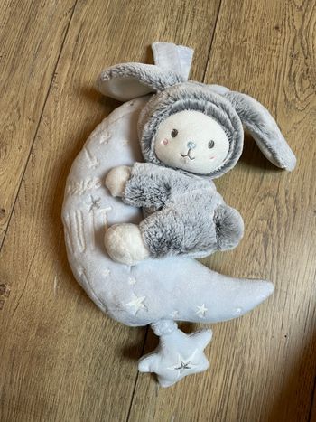 Peluche musicale phosphorescente