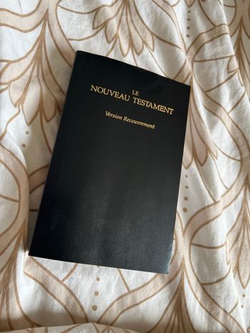 Bible nouveau testament 