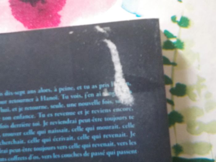 Les os des filles de Line Papin Ed. Stock - photo numéro 3