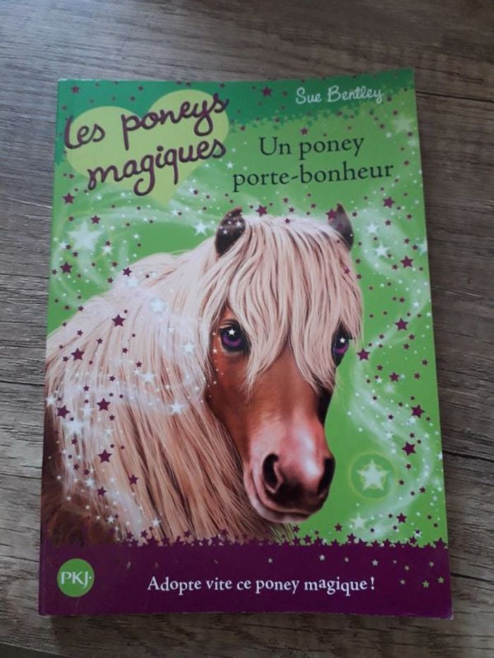 Les Poneys magiques
