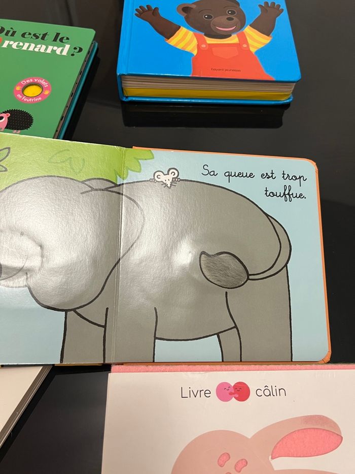 Livres bébé - photo numéro 3