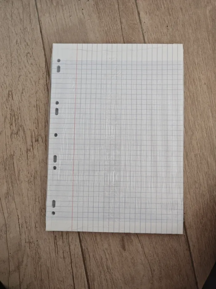 Lot copies doubles et cahier - photo numéro 3