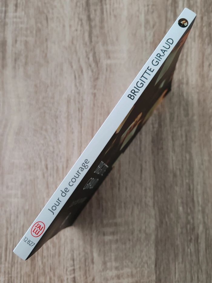 Brigitte Giraud 🌸 Jour de courage - photo numéro 3