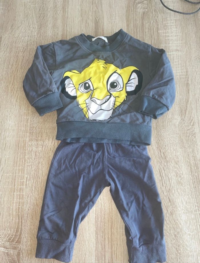 Ensemble simba