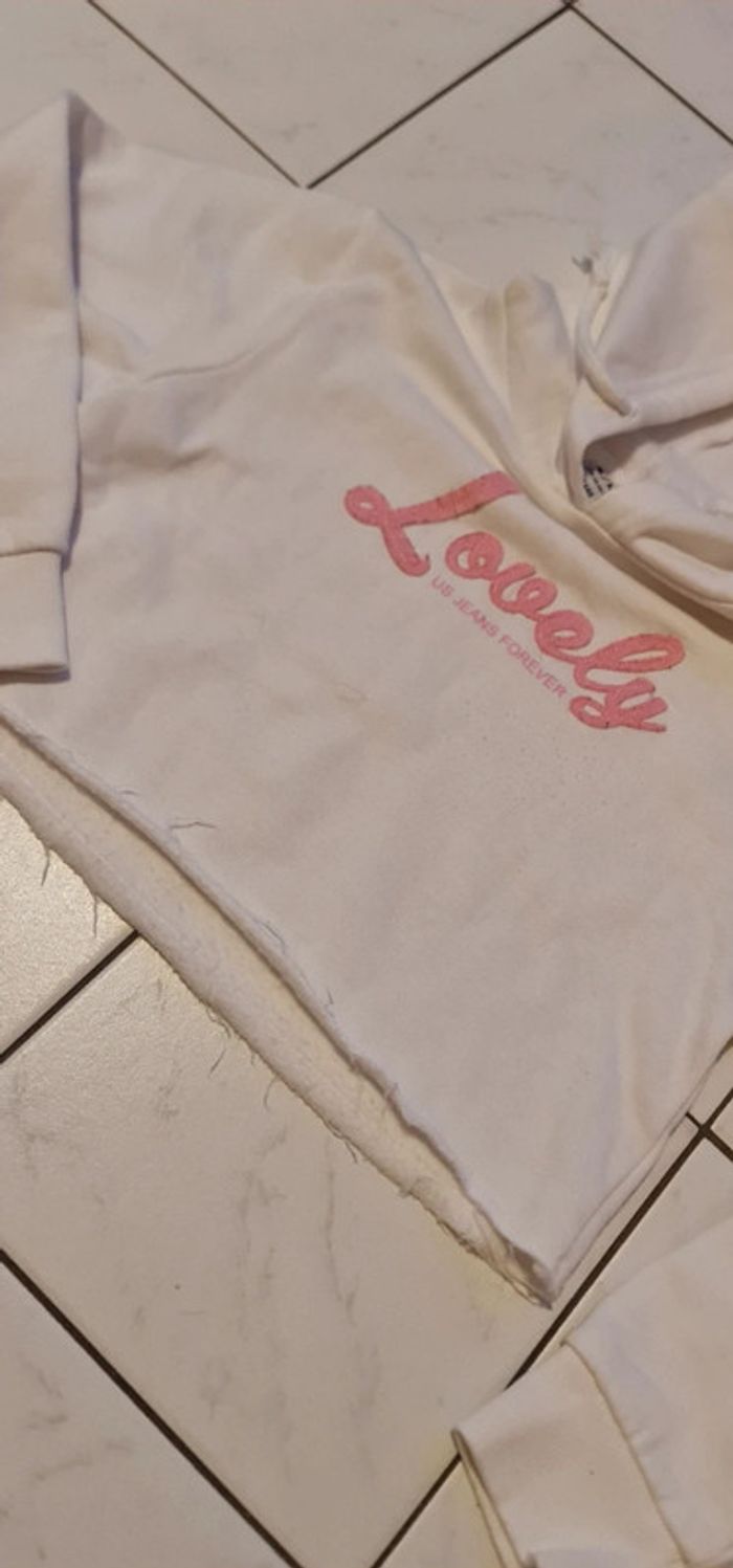 Pull court - photo numéro 4